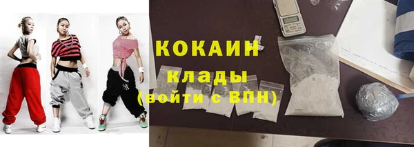 прущие грибы Кукмор