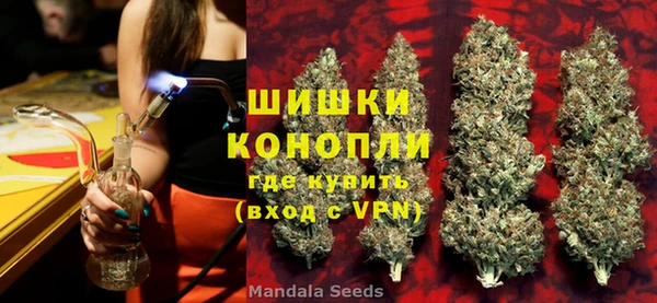 прущие грибы Кукмор