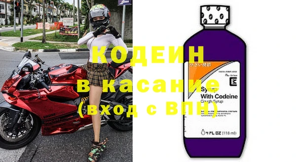 прущие грибы Кукмор
