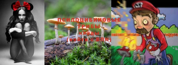прущие грибы Кукмор