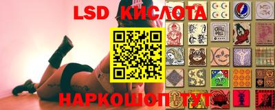 крисы Северобайкальск