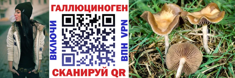 blacksprut ONION  Старый Оскол  Псилоцибиновые грибы Psilocybine cubensis  где купить наркотик 