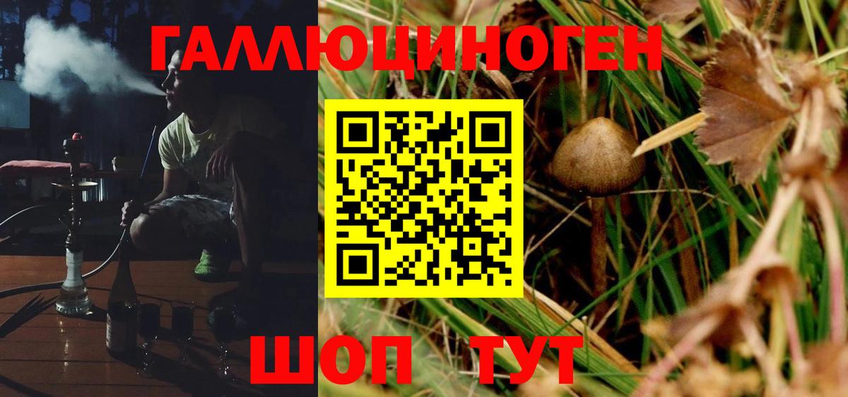 Галлюциногенные грибы мухоморы  Галлюциногенные грибы мицелий  Старый Оскол 