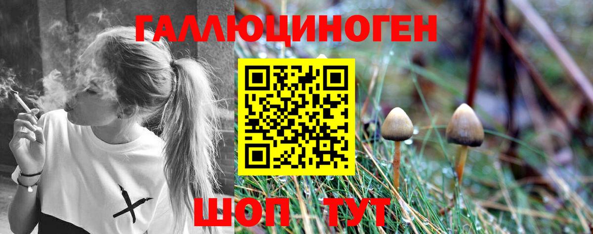 Галлюциногенные грибы Cubensis  Вход с VPN  Галлюциногенные грибы Psilocybe  наркошоп  Старый Оскол 